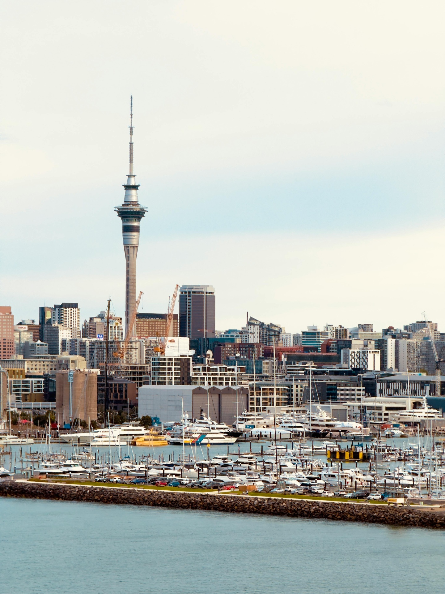 Auckland marina with boats requiring marine refrigeration services from Kyle Air