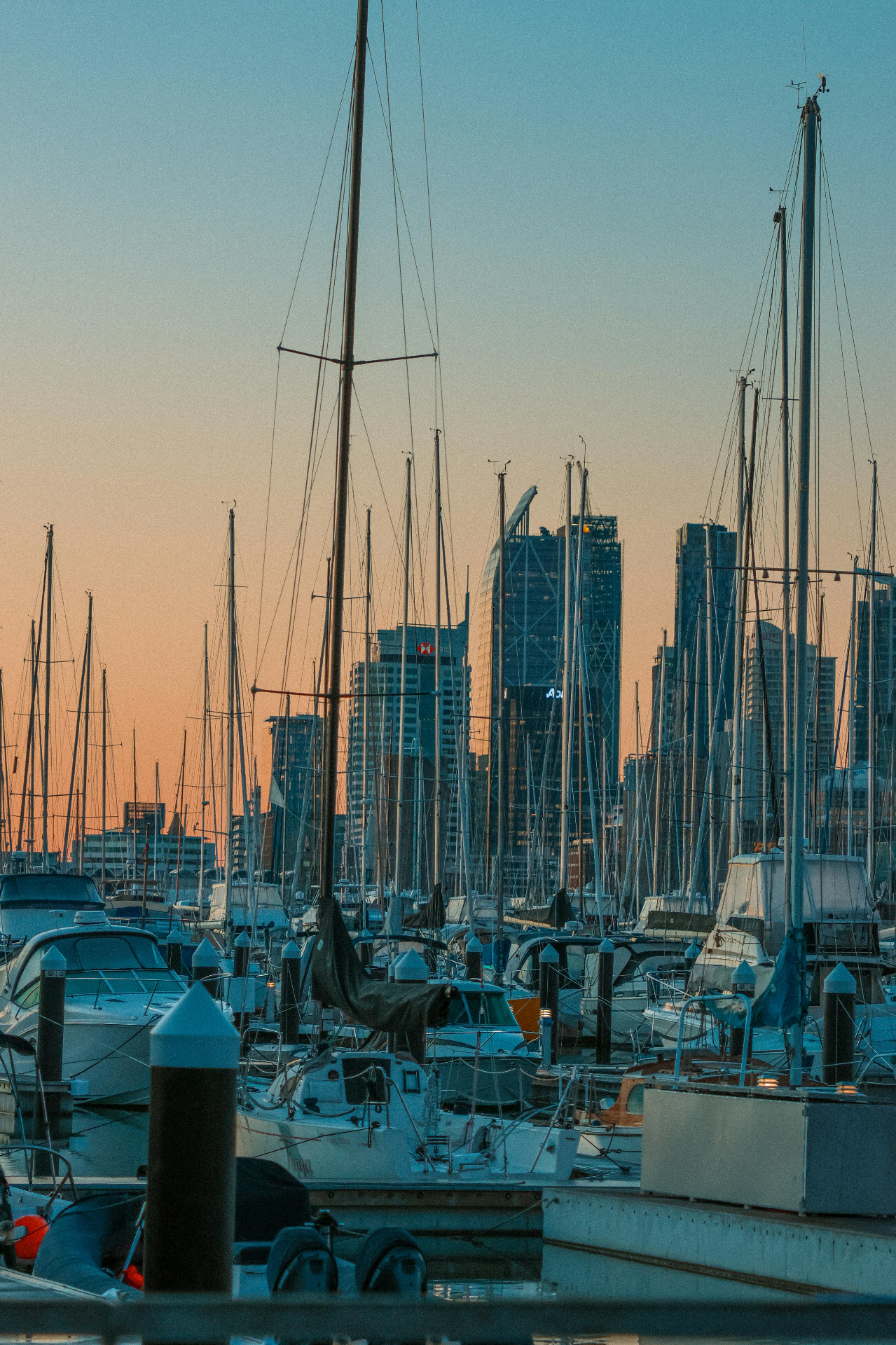 Luxury boat with professional marine refrigeration system at sunset in Auckland